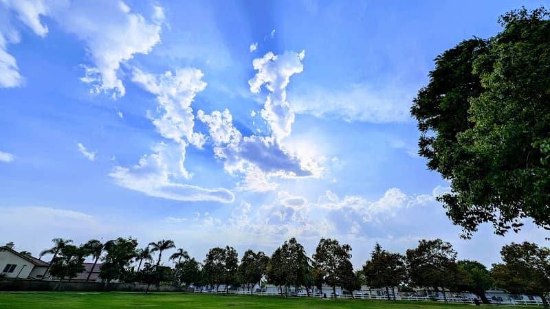 Cypress Trails Park - Image 1