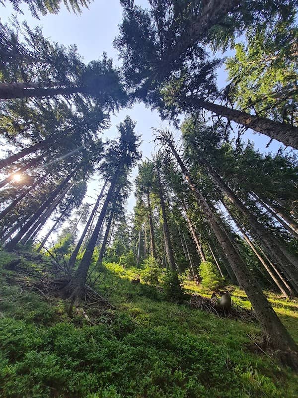 Nevyastata Ecotrail - Image 2