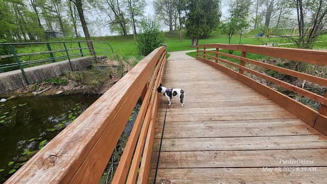 Way-Morr County Park - Image 1
