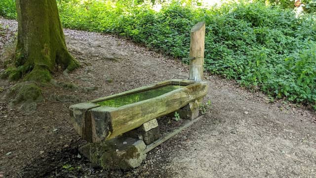 Waldplatz Berg - Image 1