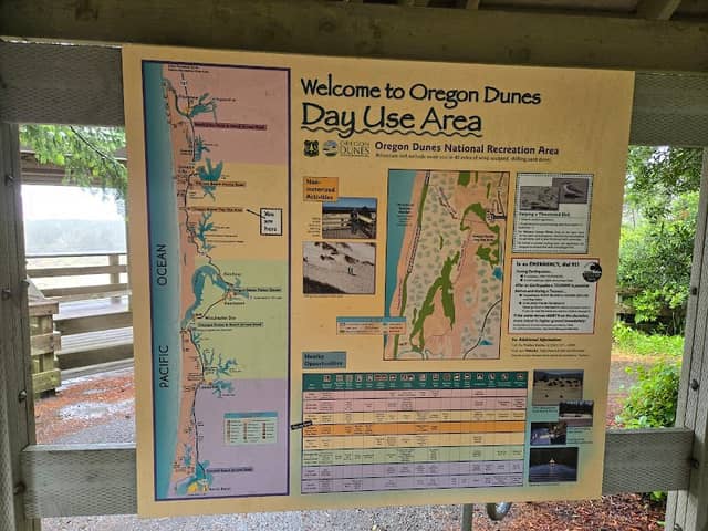Oregon Dunes Day Use Area - Image 1