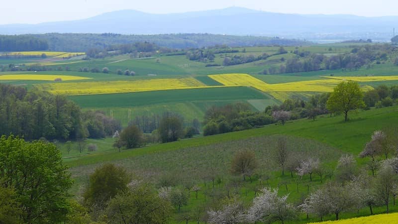 Ruhebank mit Panoramablick - Image 1