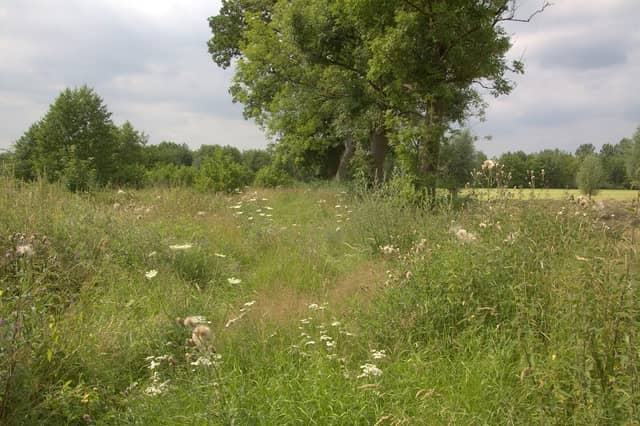 Essenhakhoutbos - Image 2