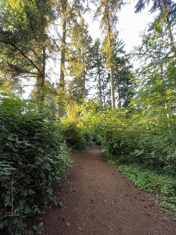 Viking Park, Off-leash Dog Park - Image 2