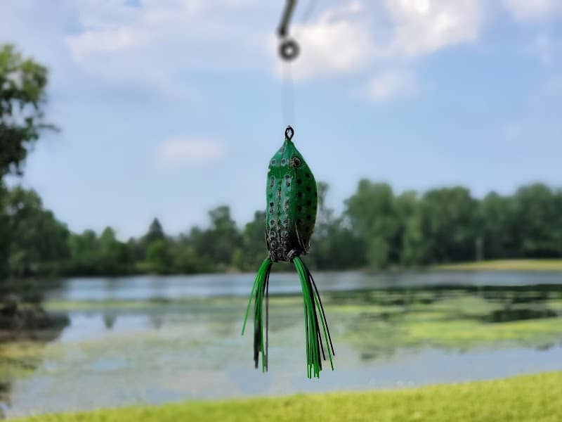 Sylvan Glen Lake - Image 2