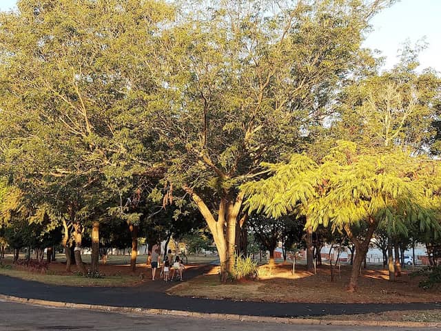 Praça Amauri de Souza - Image 1