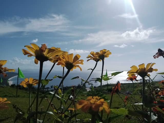 Bato ni Noli - Image 2