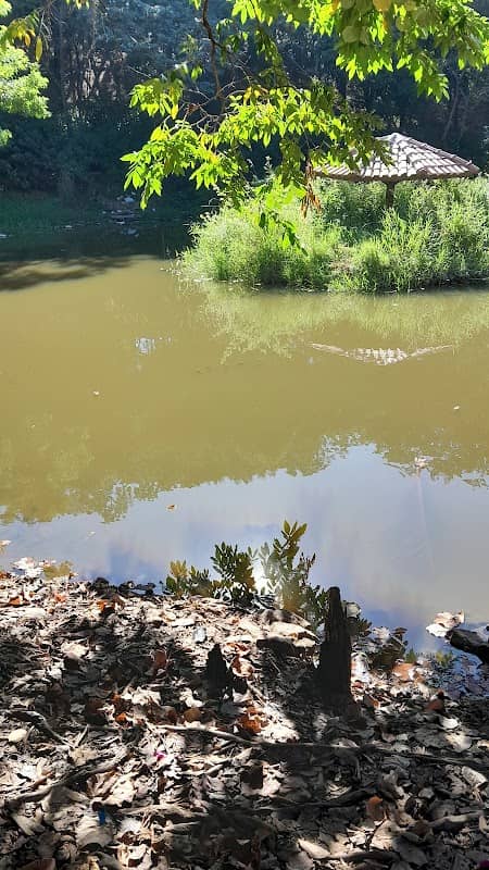 Parque Recreativo Clóvis Assaf - Image 1