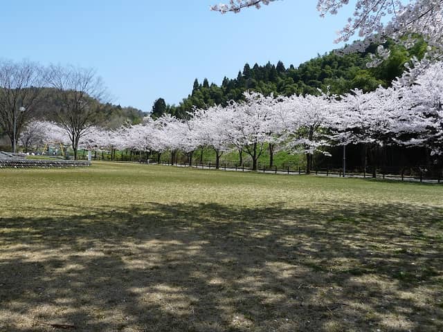 Nukadani Fureai Park - Image 1