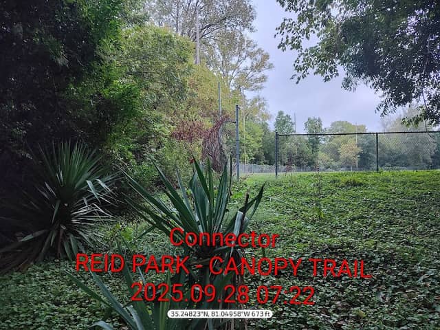 Connector : REID PARK - CANOPY TRAIL - Image 2