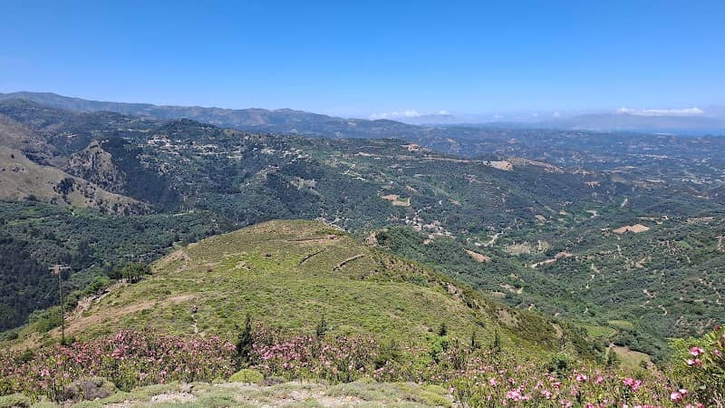 Great outlook - Image 1