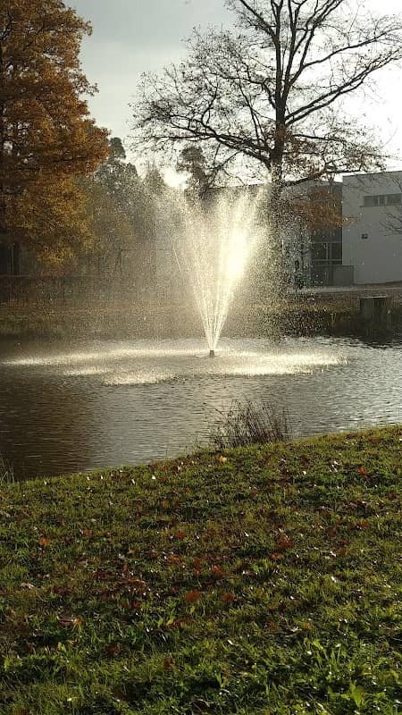 Teich am Sauforst - Image 2