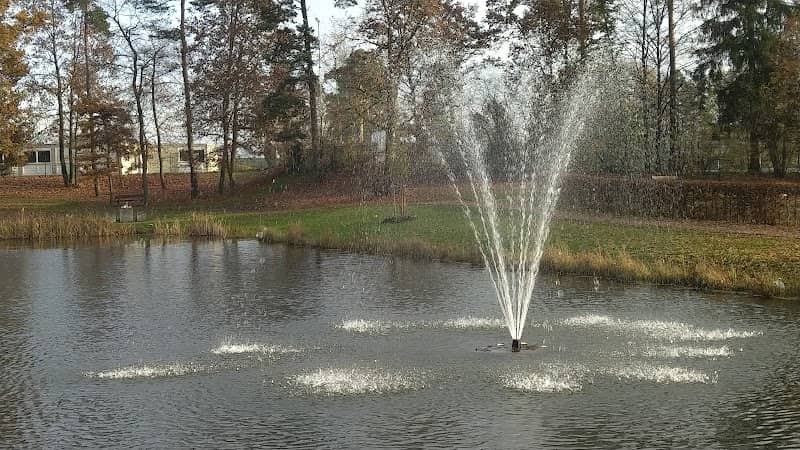Teich am Sauforst - Image 1