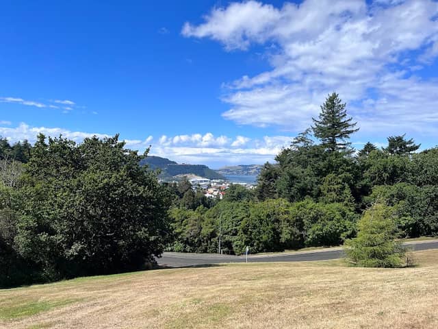Bench with a great view - Image 1