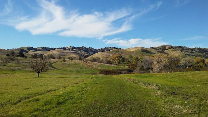 Worth Shaw Community Park - Image 3