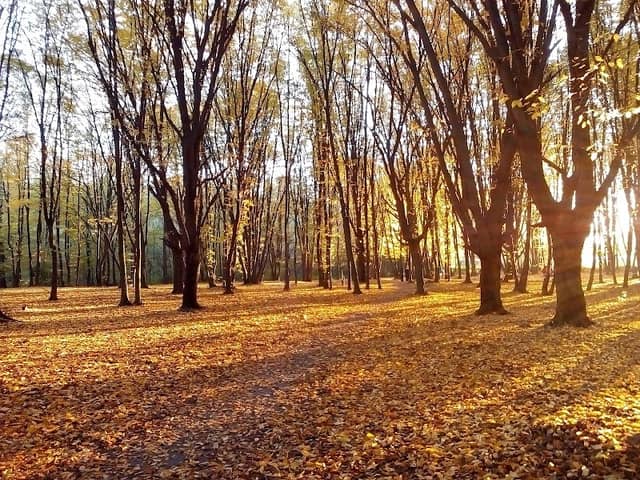 Park Dubky - Image 1