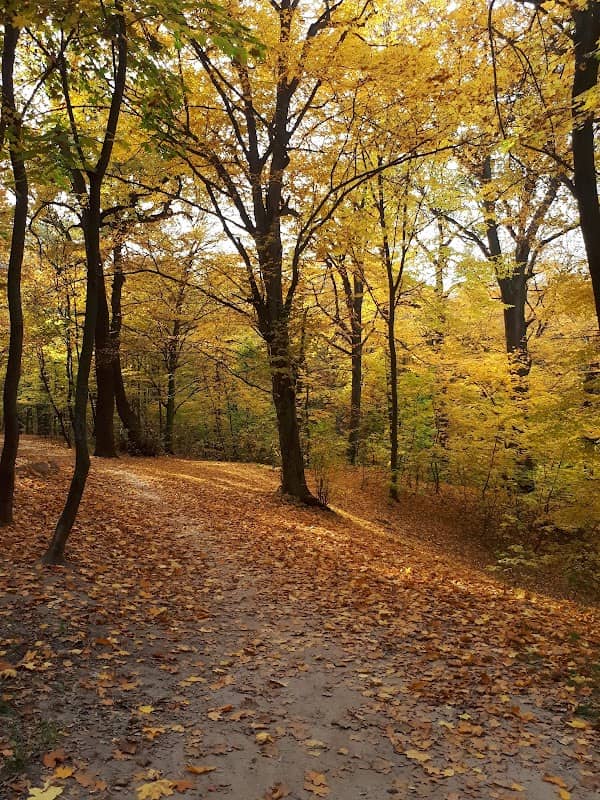 Park Dubky - Image 2