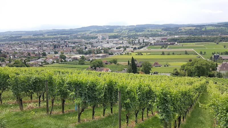 WEINSAFE I - Image 2