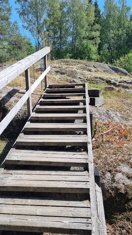 Gåsarvs valnötlund - Image 1