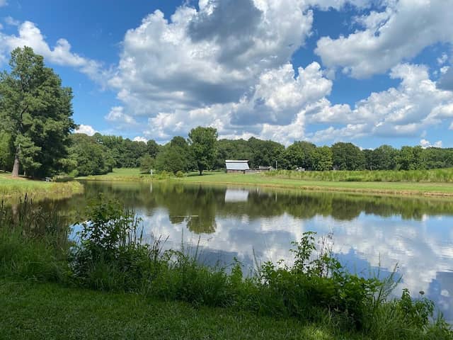 Blackwood Farm Park - Image 1