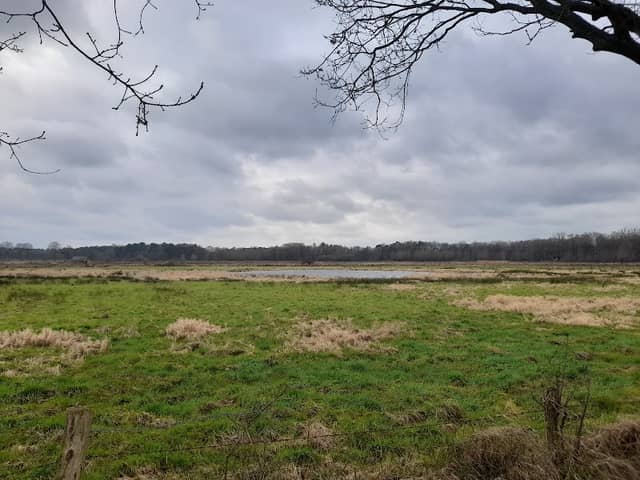 Rundweg Dingdener Heide - Image 1