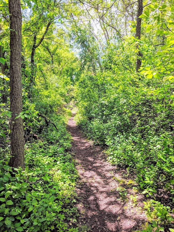 Lamberton Lake Fen Nature Preserve - Image 2