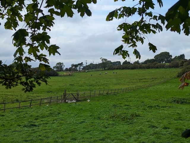 Rowley Station Picnic Area - Image 2