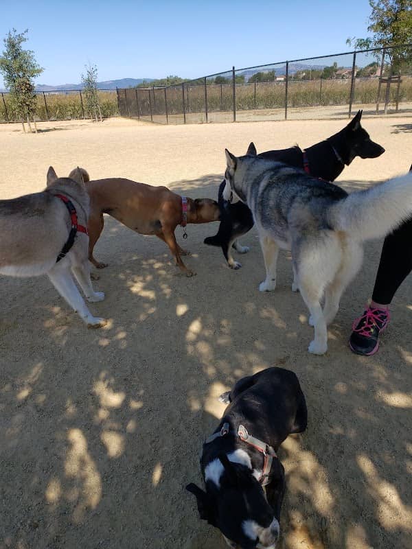 Lawler Ranch Park - Image 2
