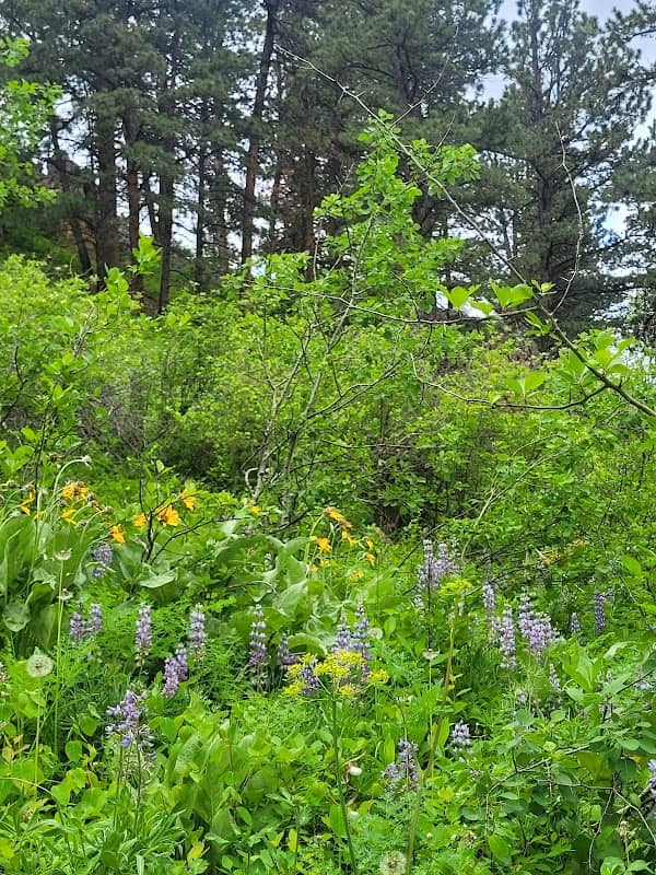 Story Penrose Trailhead - Image 1