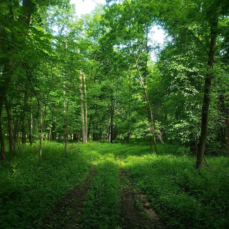Hitaga Sand Ridge Prairie Preserve - Image 1