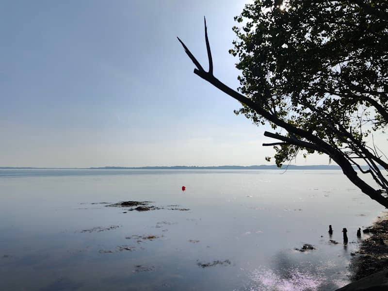 Fiskeplads - Image 1