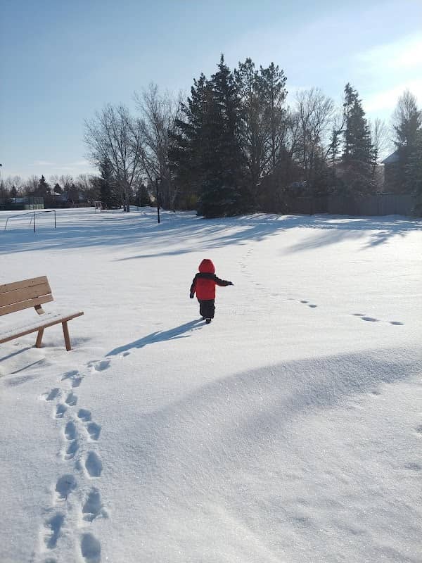 Sunningdale Park - Image 1