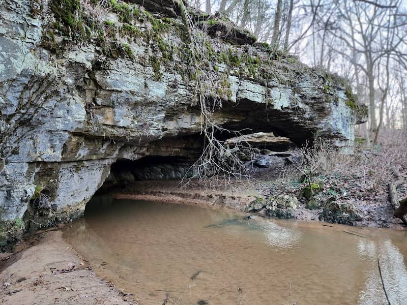 Wheeler NWR - Cave Springs - Image 3