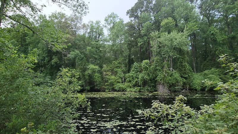 Rest Stop at Mile Post 4 - Image 1