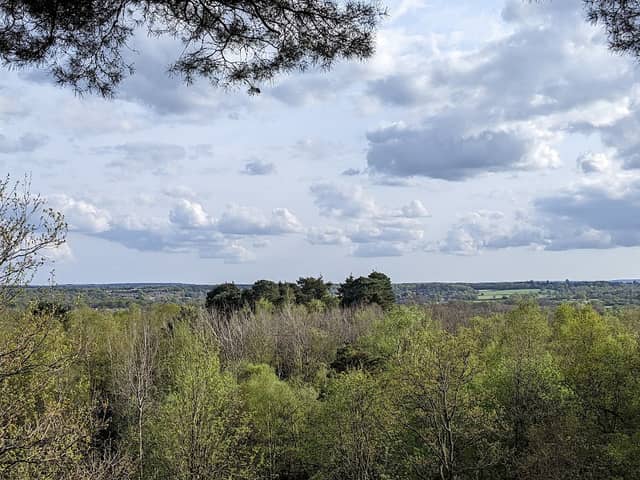 Finchampstead Ridges - Image 1