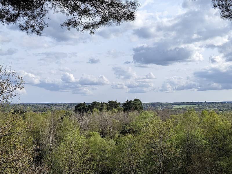 Finchampstead Ridges - Image 1