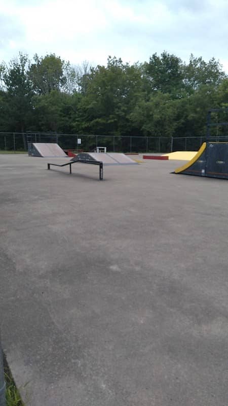 Pulaski Skatepark - Image 1