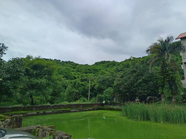 Fish Pond - Image 1