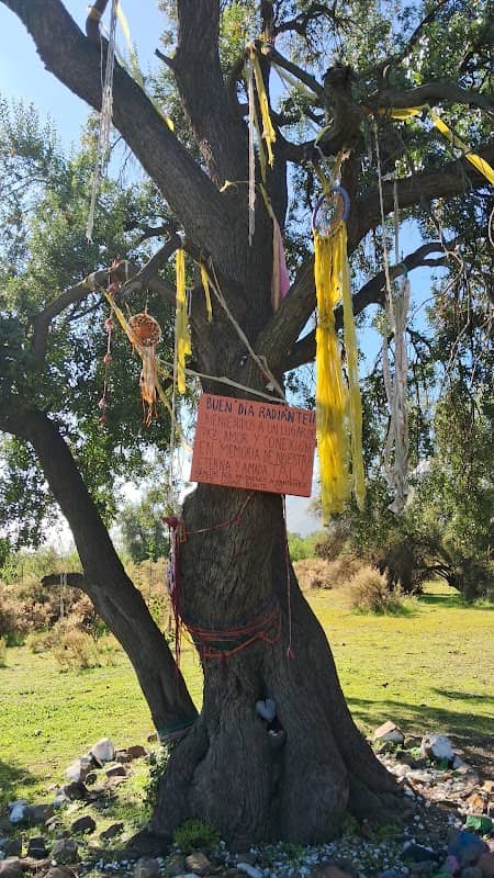 Árbol de los sueños - Image 2