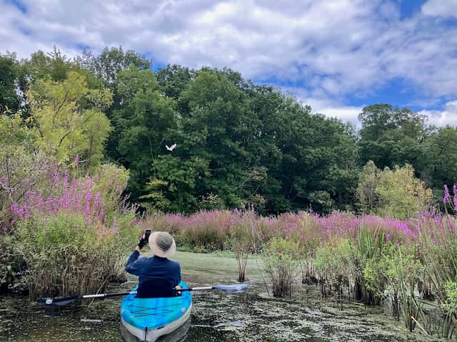 Langeluttig Marsh Wetland Conservation Area - Image 1