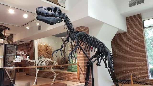 Joseph Moore Museum - Image 2