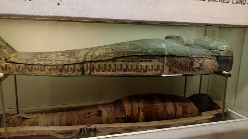 Joseph Moore Museum - Image 1
