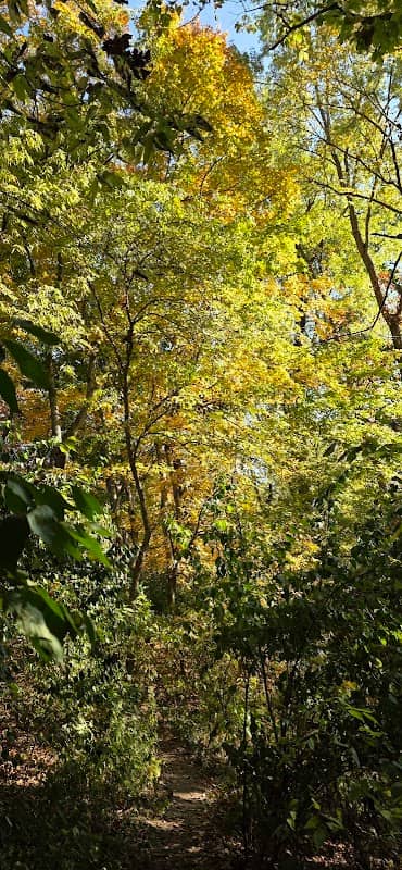 River Trail Park - Image 1