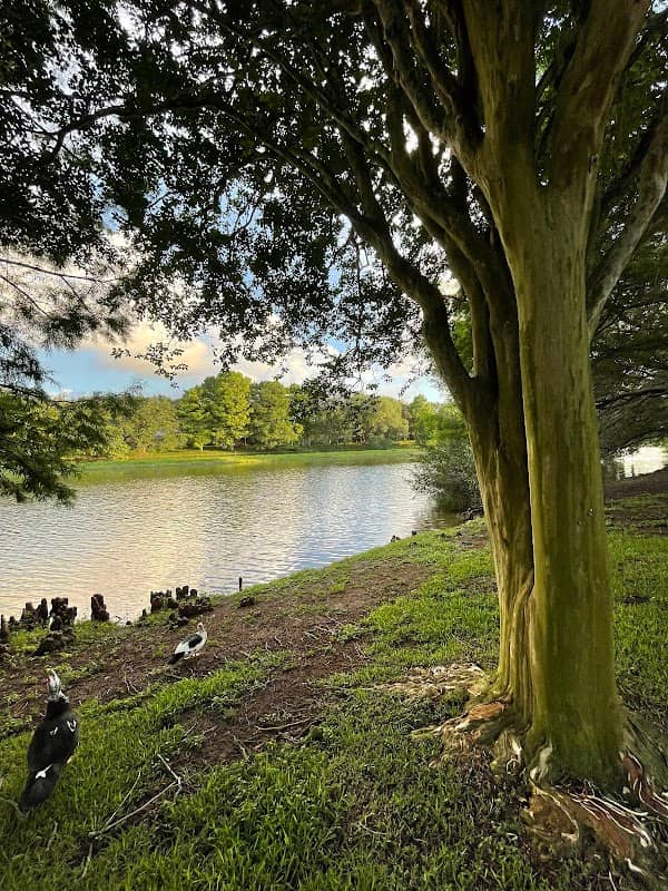 Water’s Way Park - Image 2