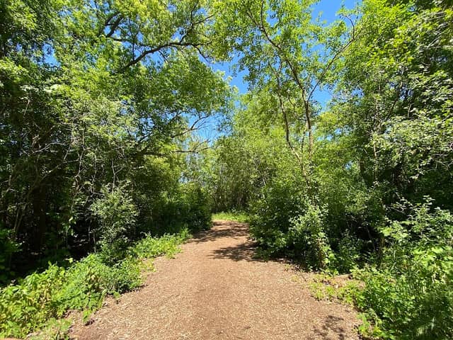 Stigler Nature Preserve - Image 2