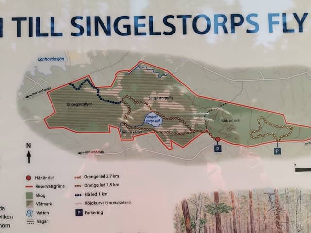 Singelstorps fly - Image 1