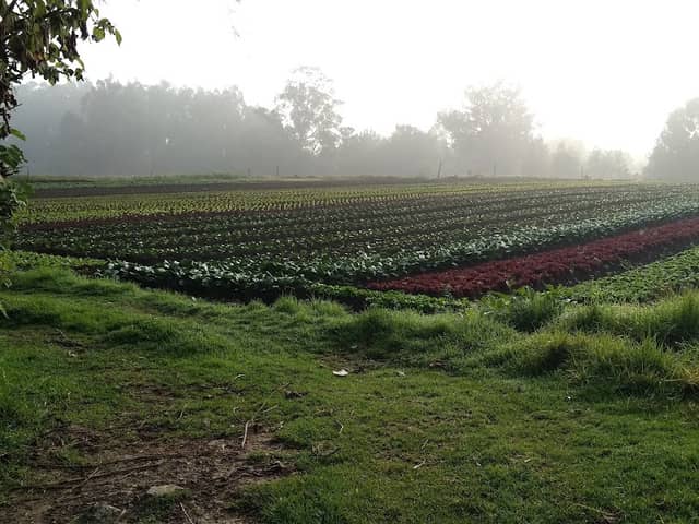 Sector Alejandria - Image 1