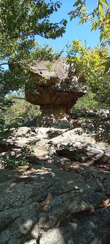 Ciuciu del Risagliardo - Image 1