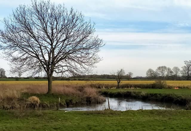 Riverside Wildlife Area - Image 2