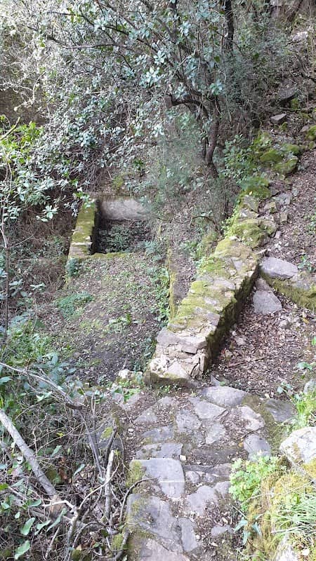 Fonte da Taipa - Image 1